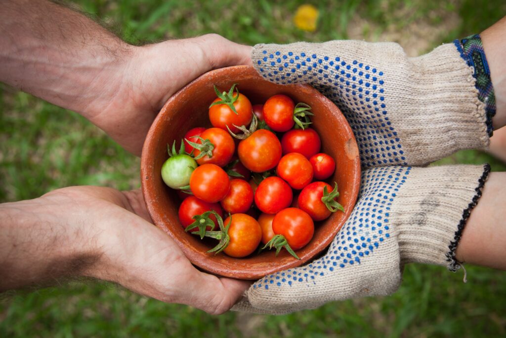 Thinking of Yours: Composting: Nourishing Your Garden with Black Gold Introduction