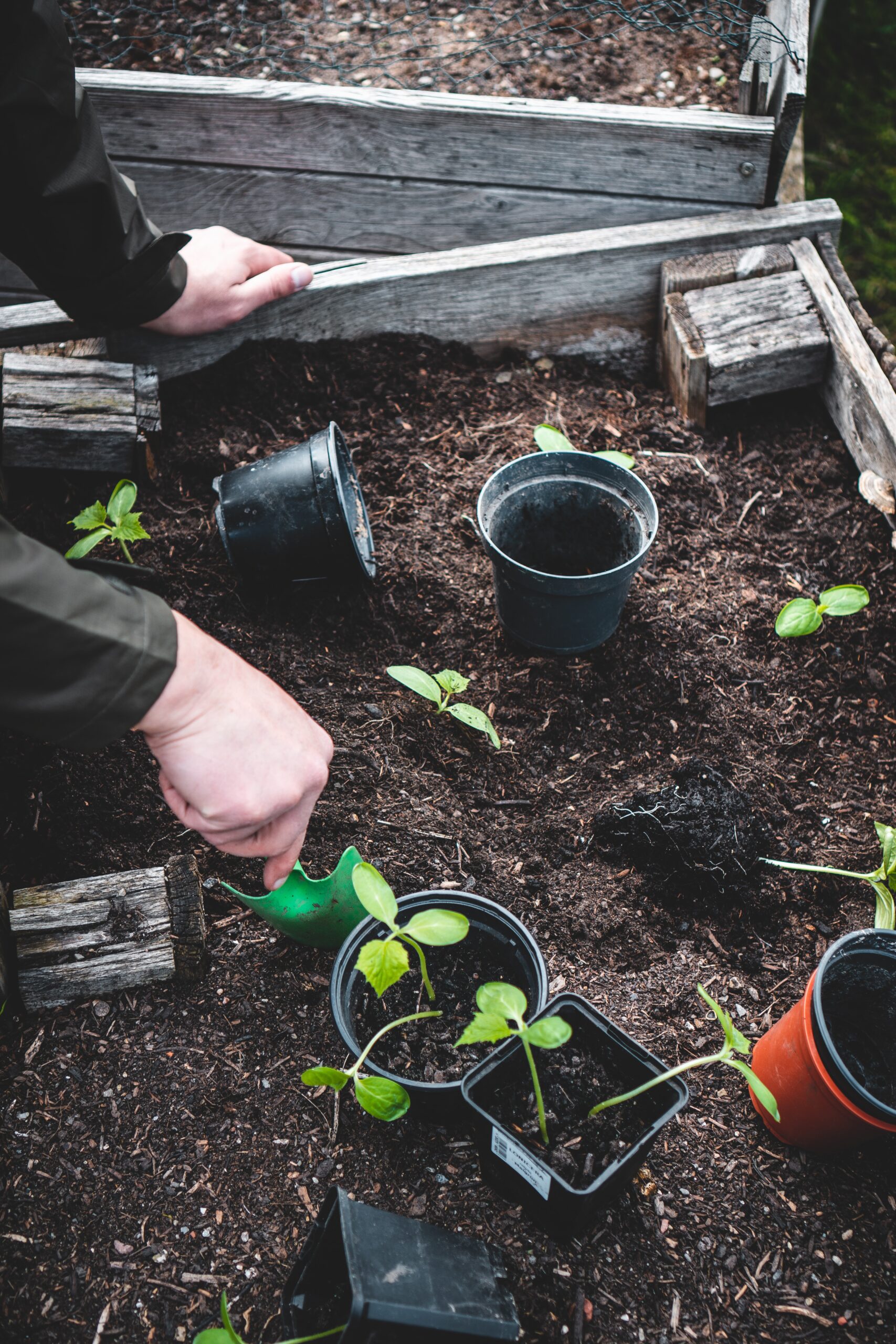 Thinking of Yours:Composting: Nourishing Your Garden with Black Gold Introduction