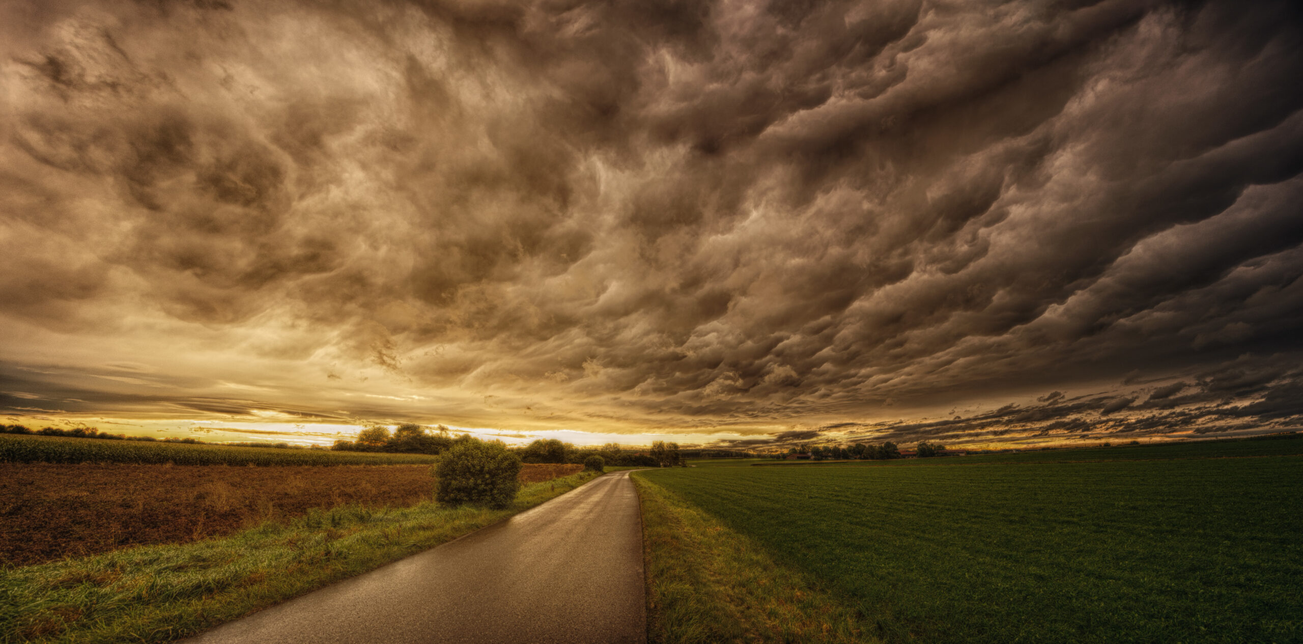 Thinking of Yours: Summer Storm