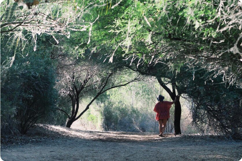 Thinking of Yours: Journeys Without Destinations: Exploring Places by Following Smells, Sounds, and Shadows
