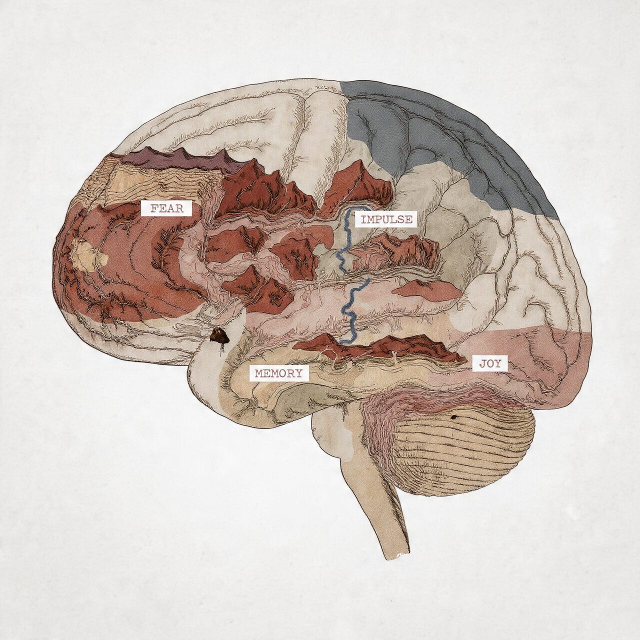 Thinking of Yours:Not All “Mental Problems” Are the Same: How Many Disorders Exist, Really?